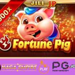Fortune Pig